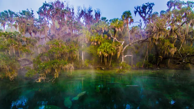 Florida scenic hero